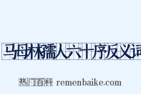 马母林孺人六十序反义词是什么意思的图片
